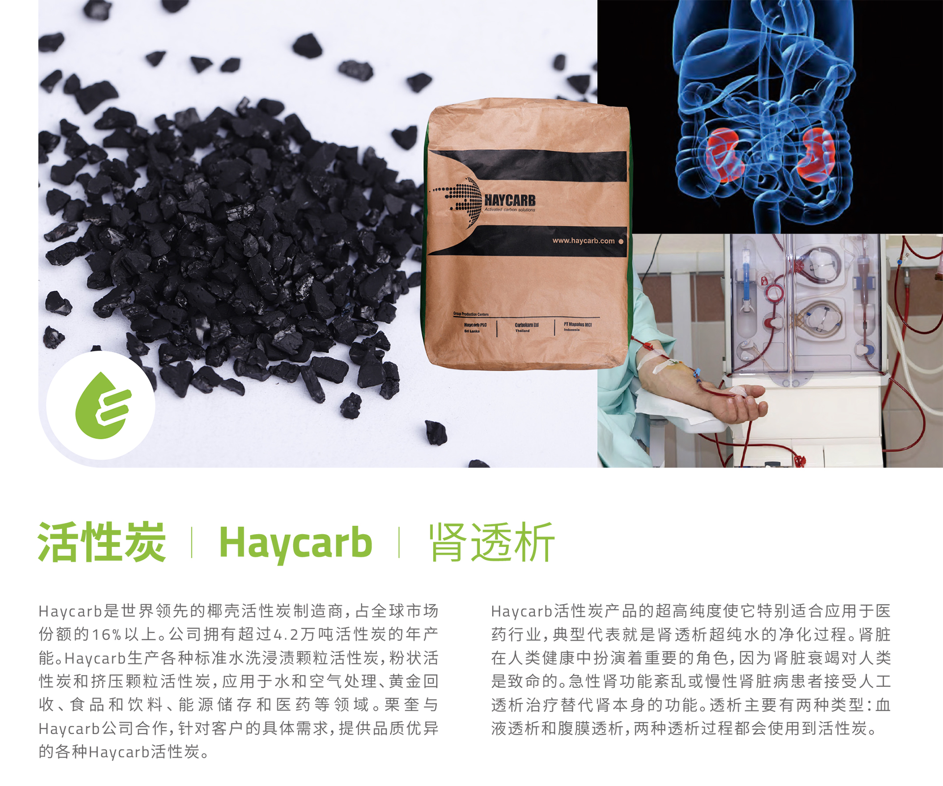 栗奎-1活性炭-Haycarb-1_01.jpg
